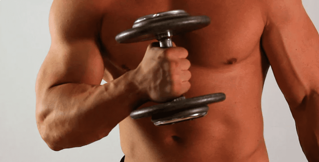 best bicep workout