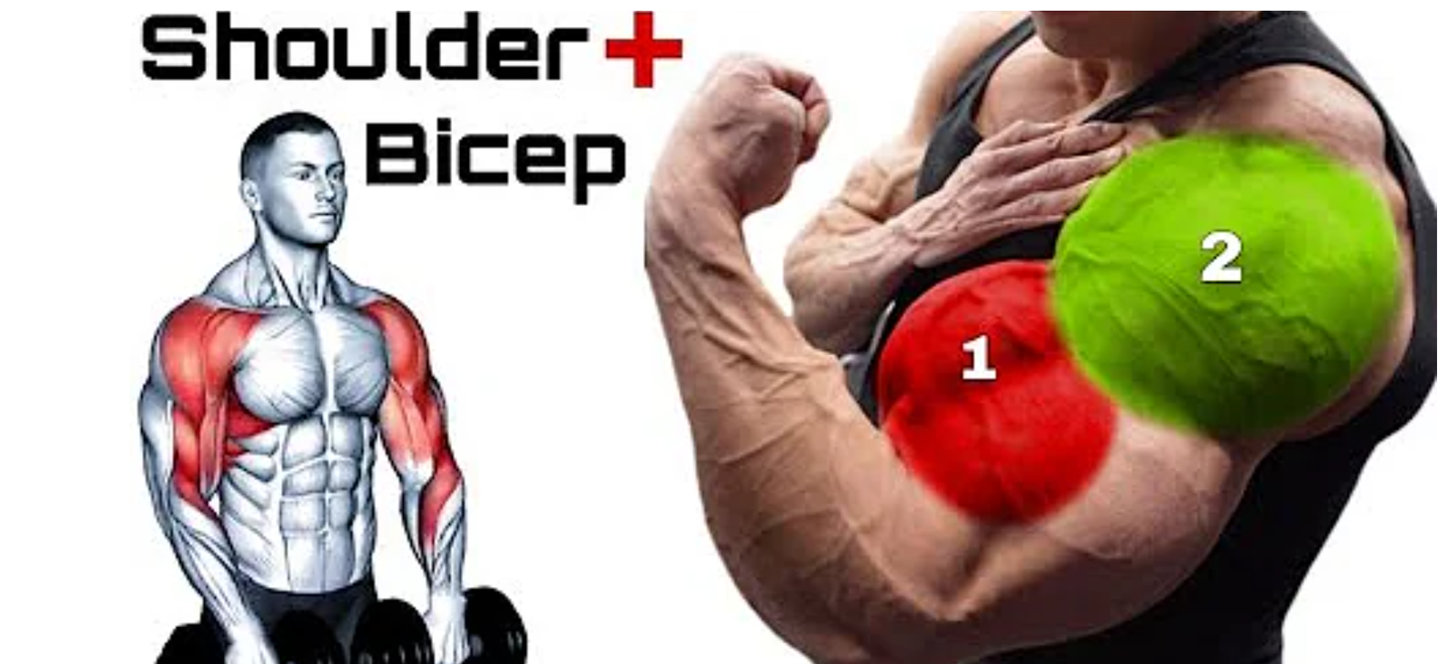 shoulder and bicep workout